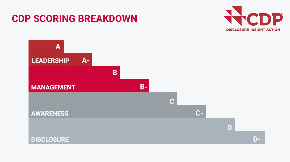 CDP Scoring